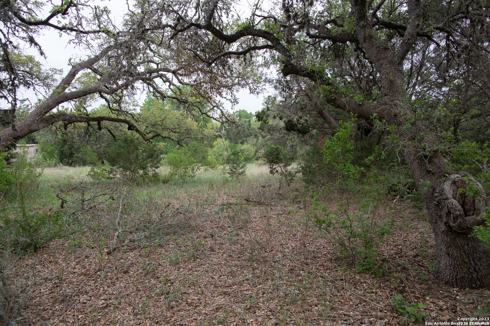 1590 Sandy Hill Bulverde TX 78163