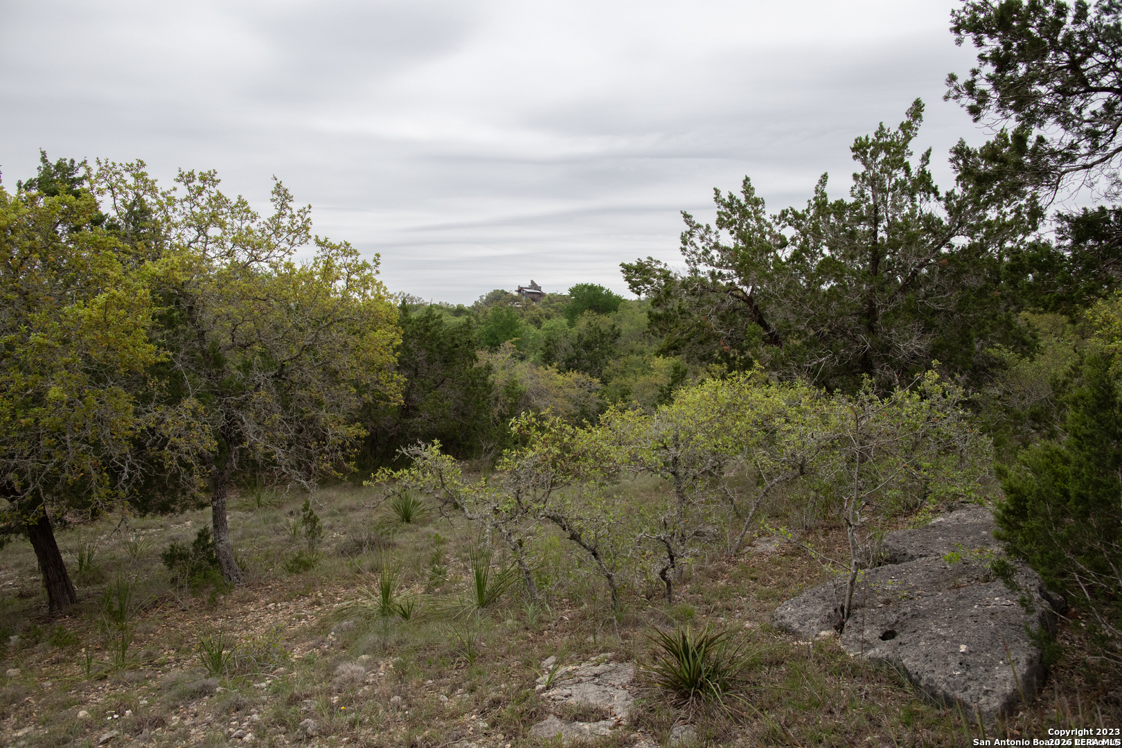1590 Sandy Hill Bulverde TX 78163