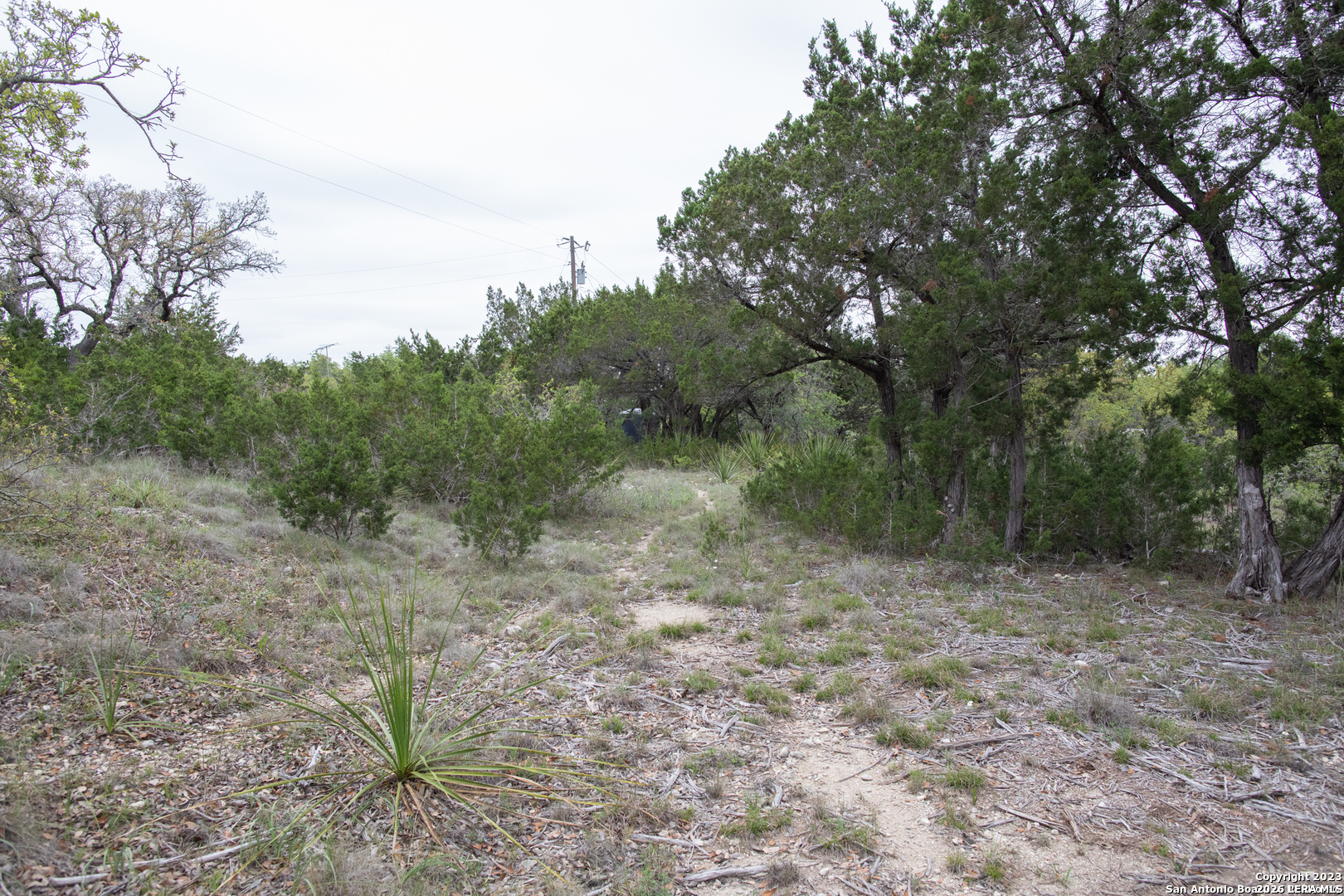 1590 Sandy Hill Bulverde TX 78163