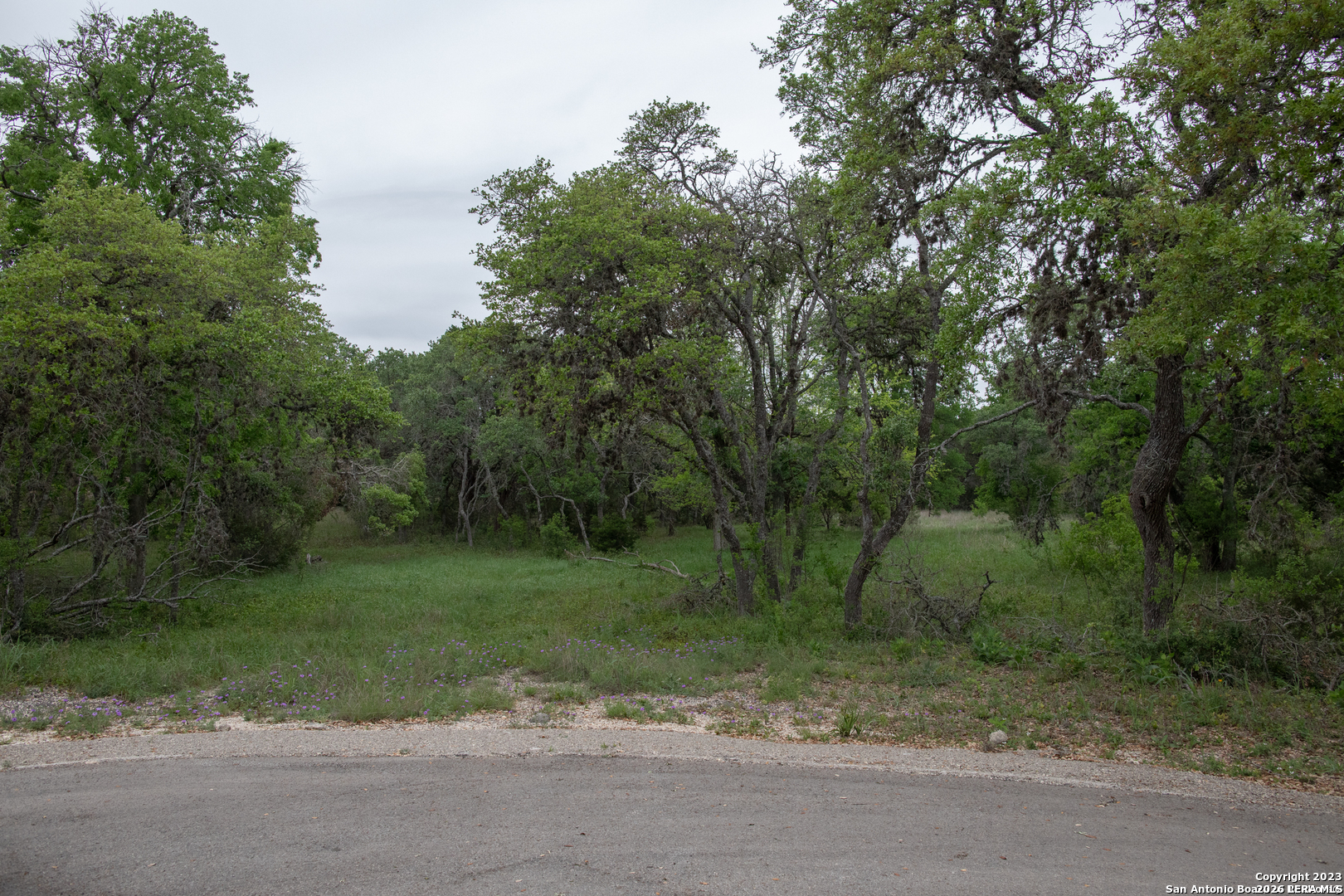 1590 Sandy Hill Bulverde TX 78163
