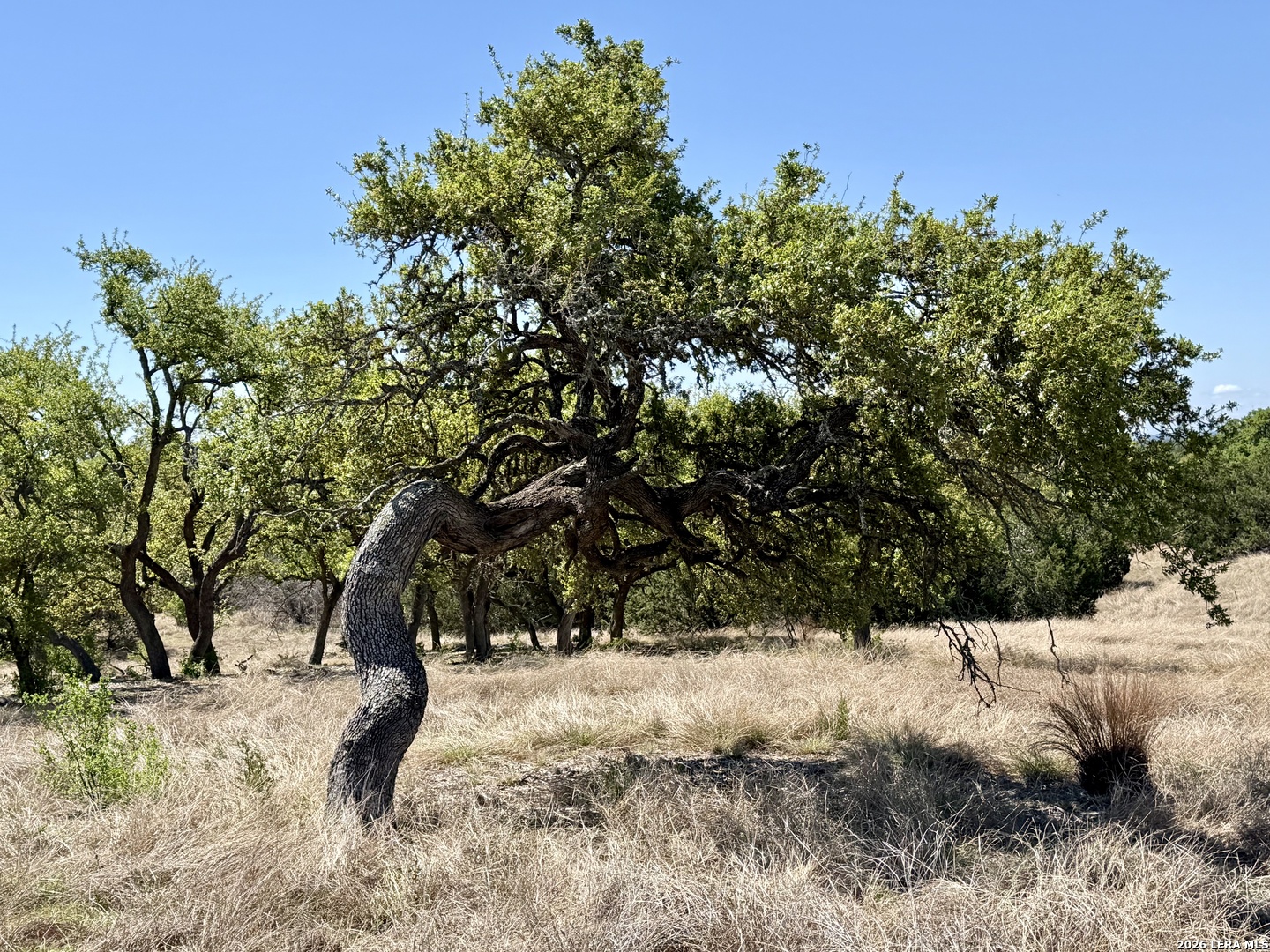 Tbd Mcvea Woods Road Kerrville TX 78028