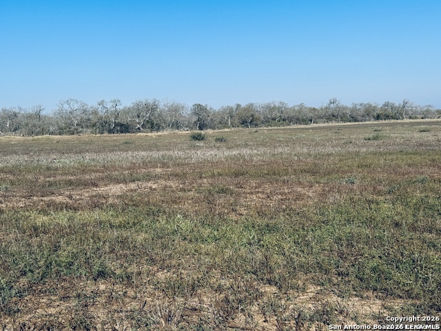 Tbd Byrd Road Byrd La Vernia TX 78064