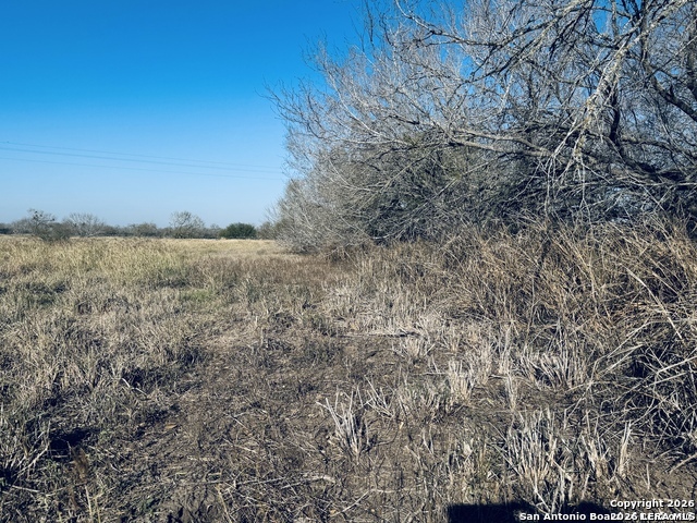 Tbd Byrd Road Byrd La Vernia TX 78064