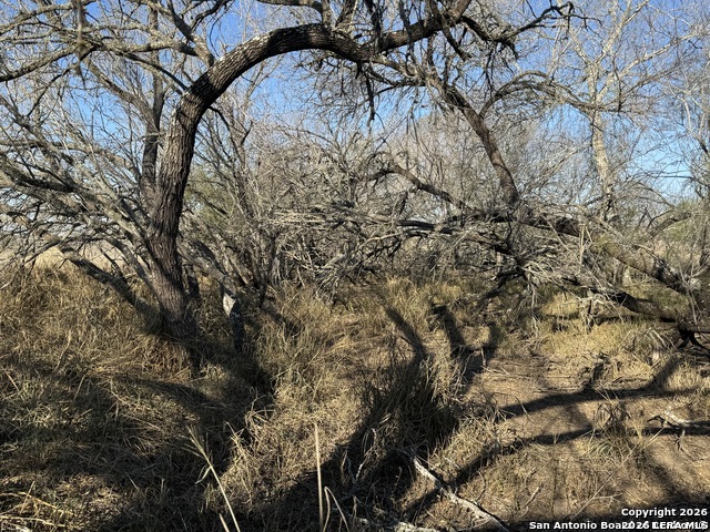 Tbd Byrd Road Byrd La Vernia TX 78064