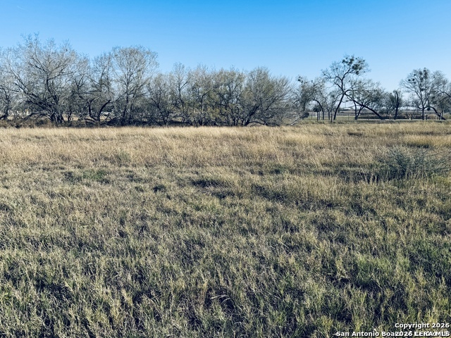 Tbd Byrd Road Byrd La Vernia TX 78064