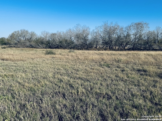 Tbd Byrd Road Byrd La Vernia TX 78064