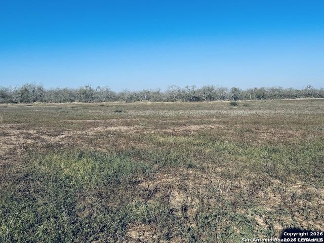 Tbd Byrd Road Byrd La Vernia TX 78064