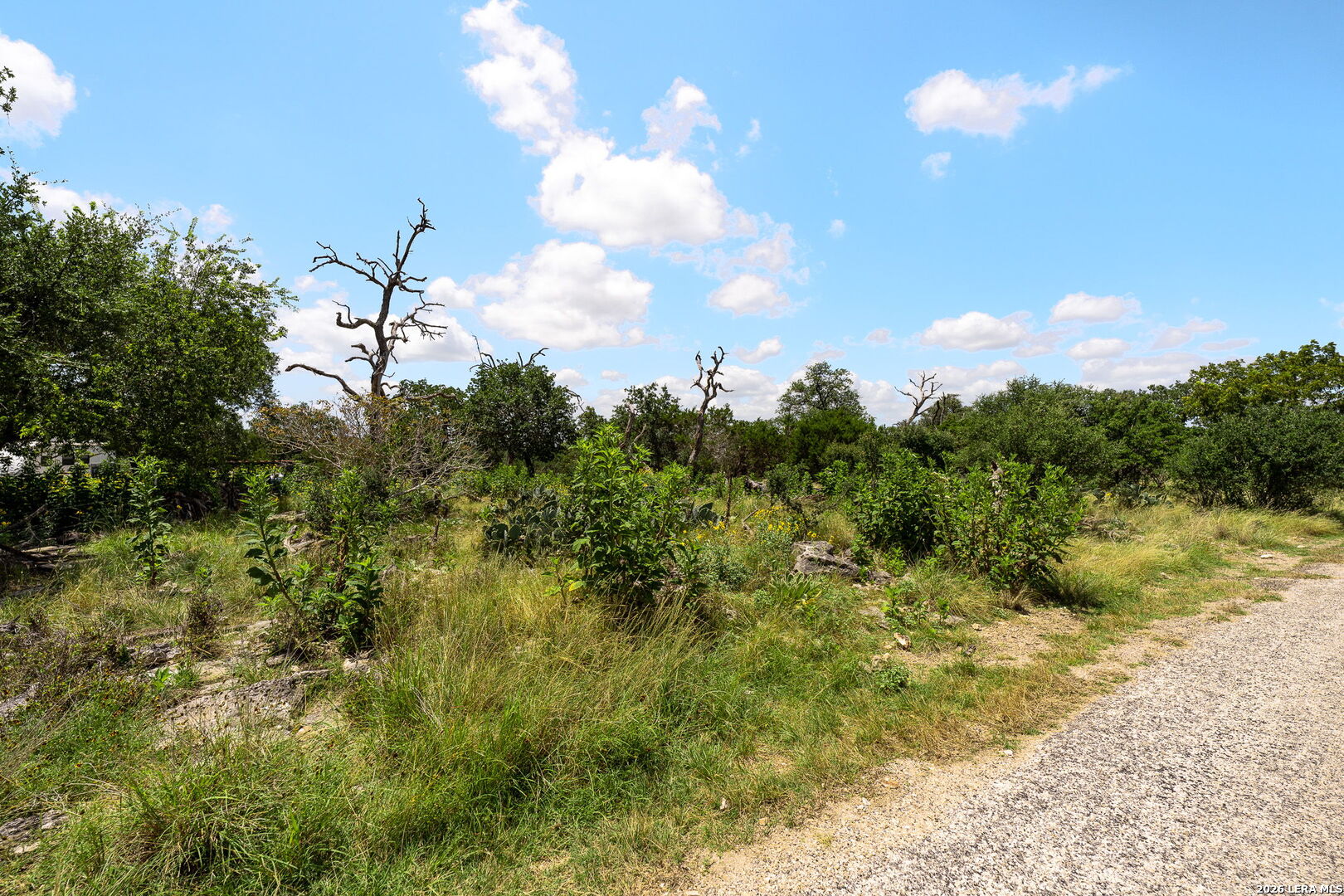211 Spring Road Fredericksburg TX 78624
