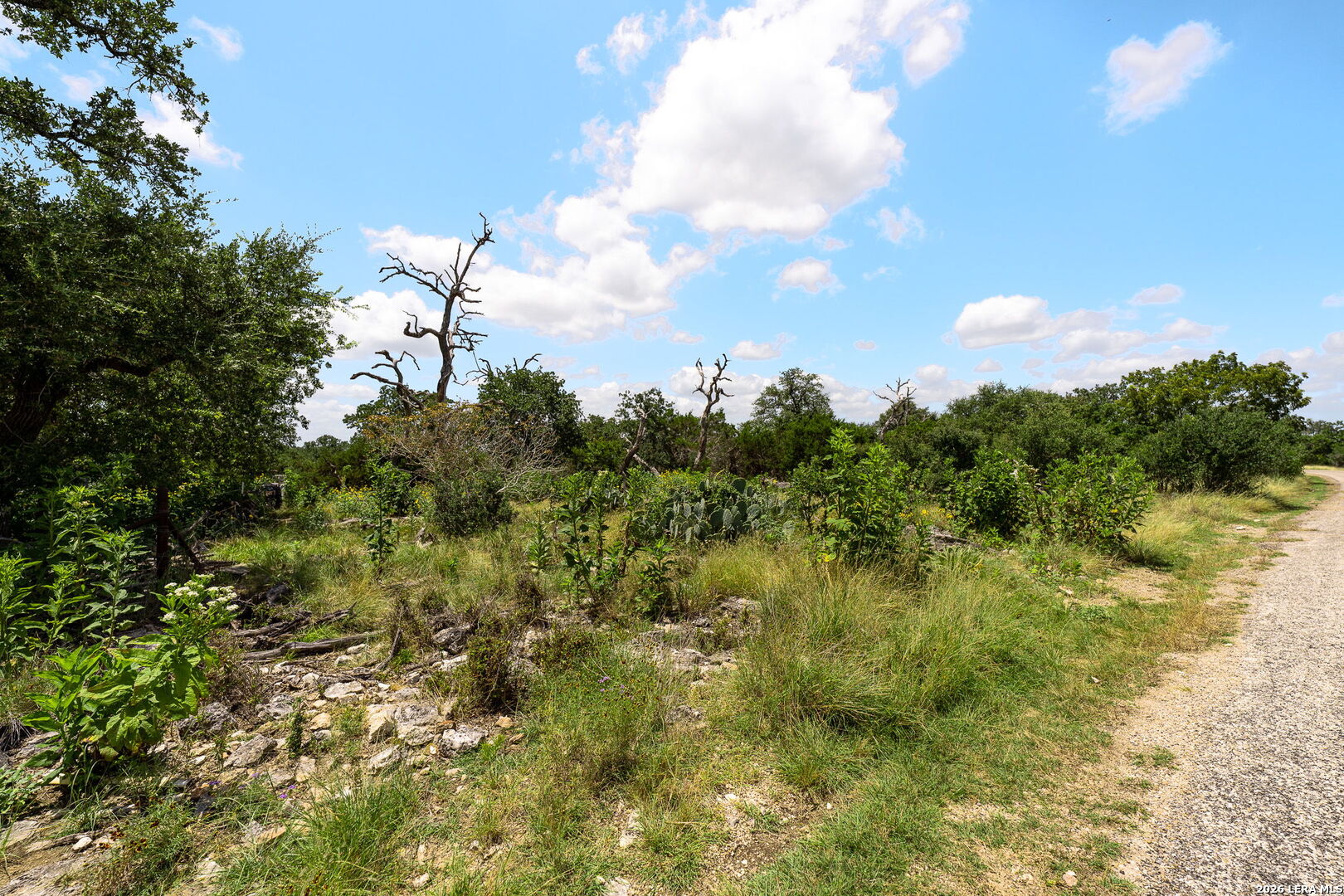 211 Spring Road Fredericksburg TX 78624