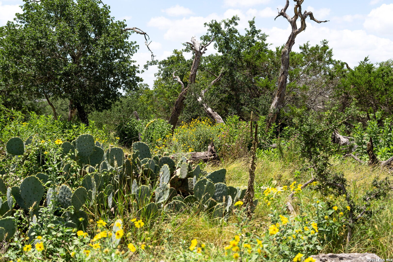 211 Spring Road Fredericksburg TX 78624