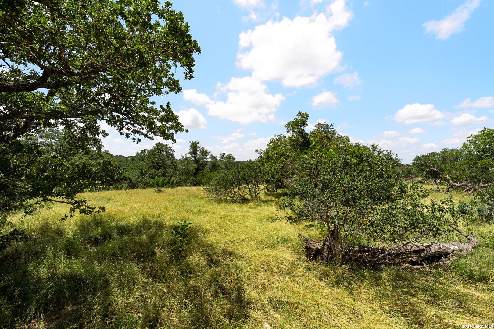 211 Spring Road Fredericksburg TX 78624
