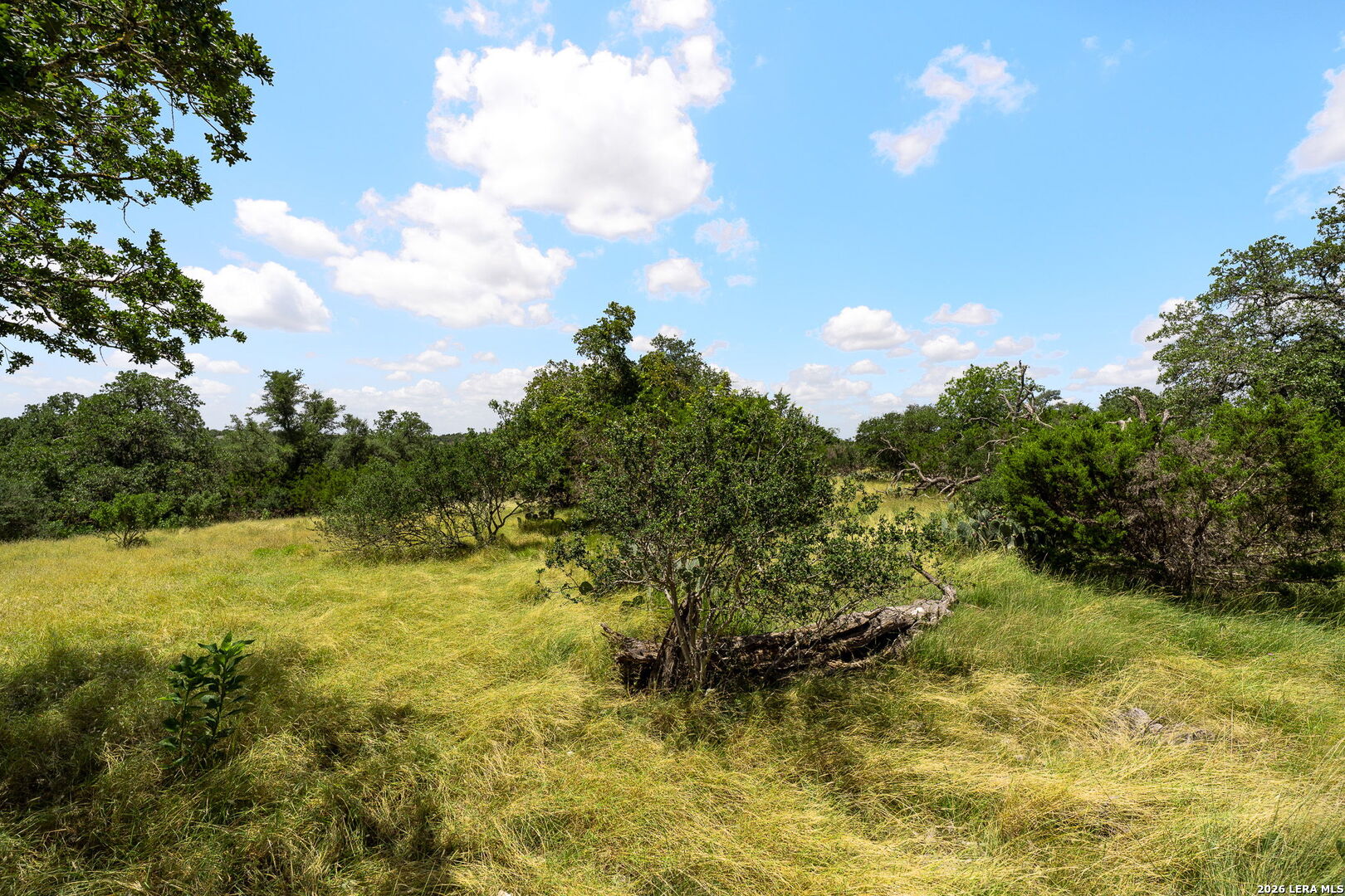 211 Spring Road Fredericksburg TX 78624