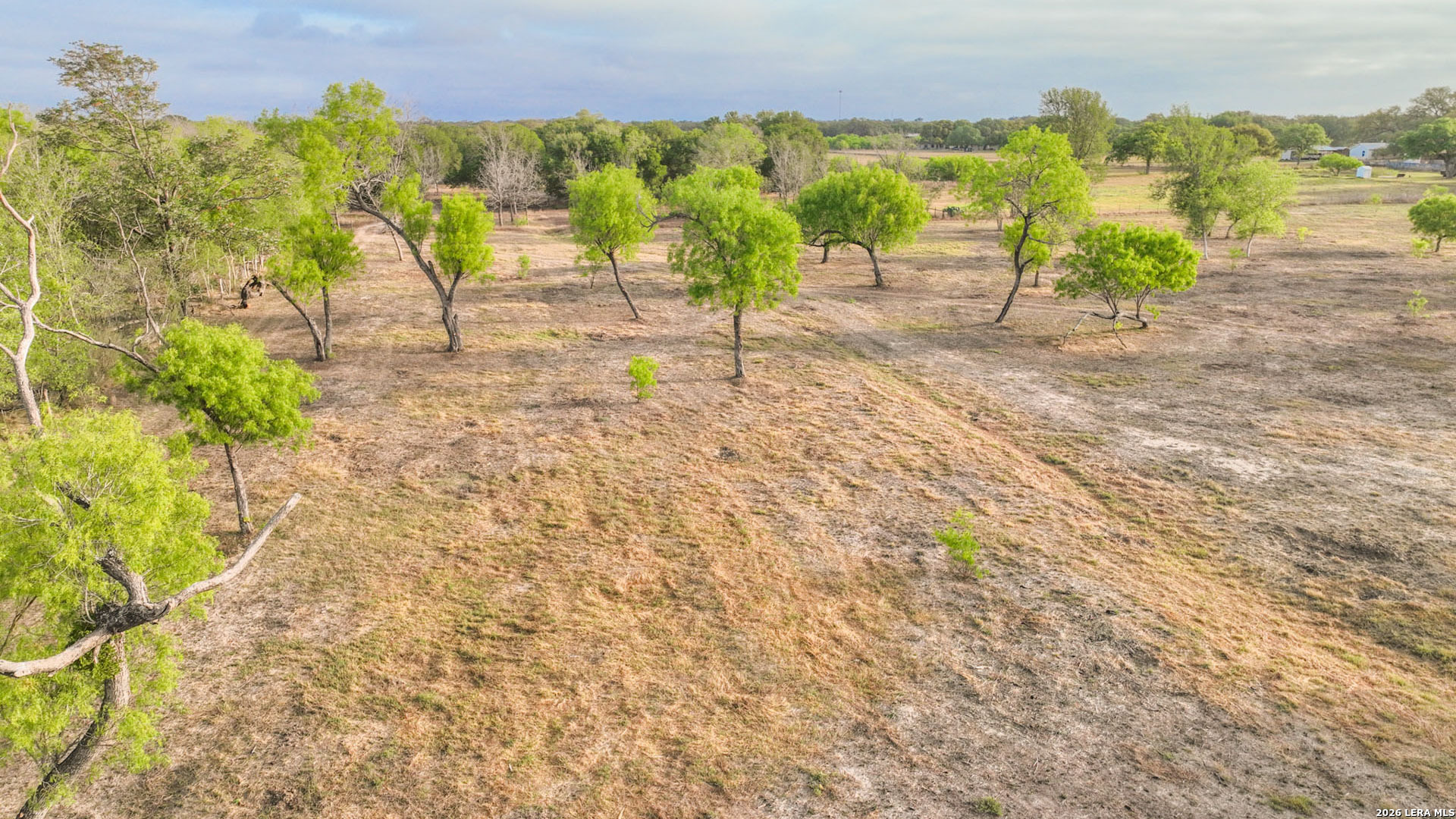 413 W Malone Devine TX 78016