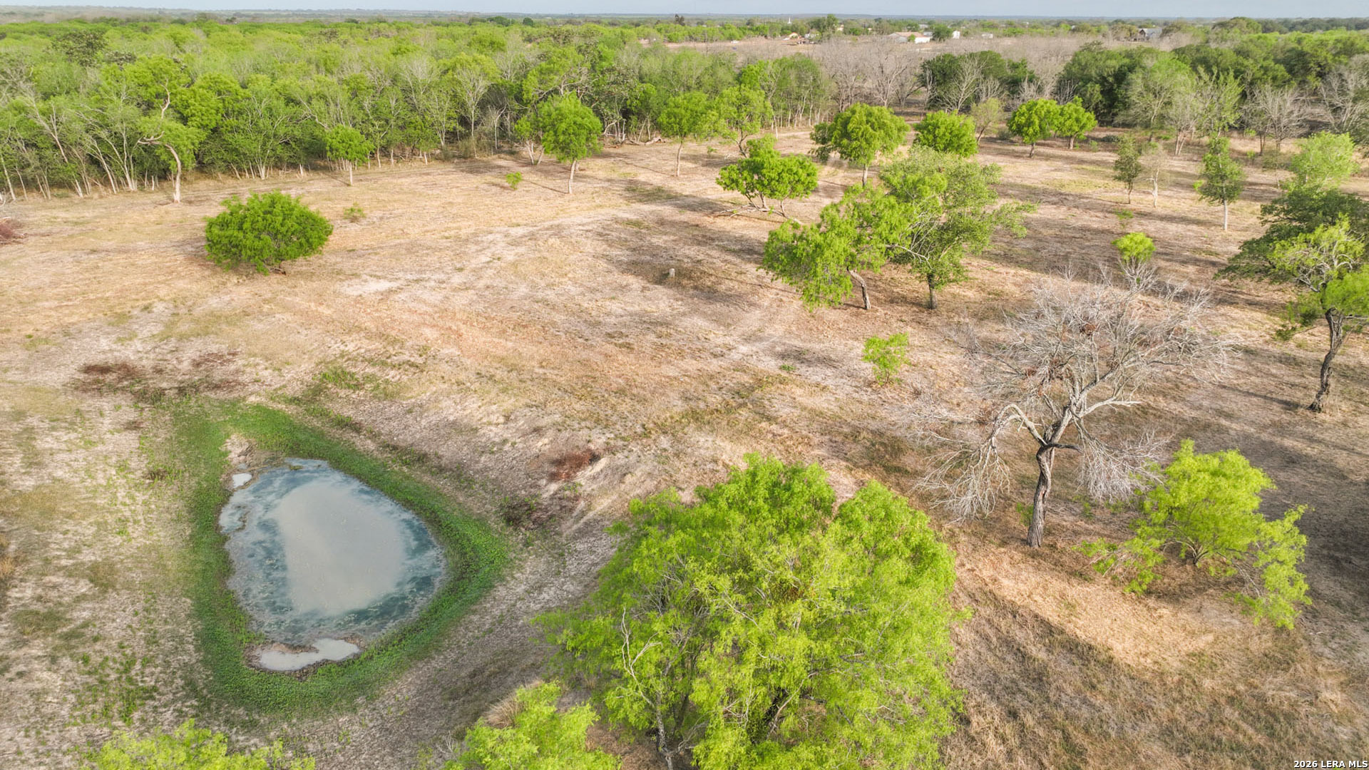 413 W Malone Devine TX 78016