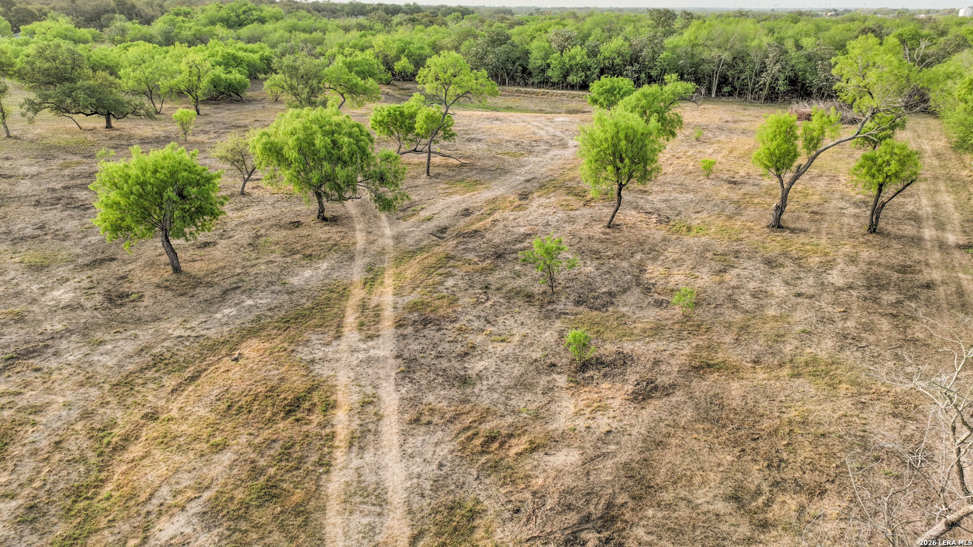 413 W Malone Devine TX 78016