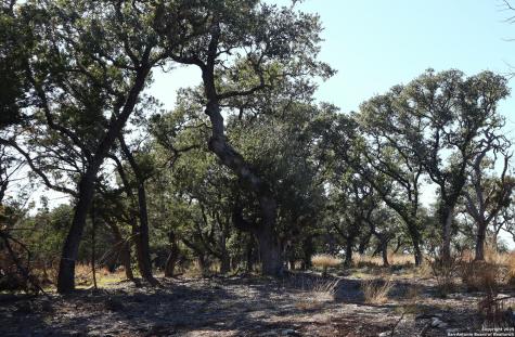 Lot 5 Sophie Drive Bandera TX 78003
