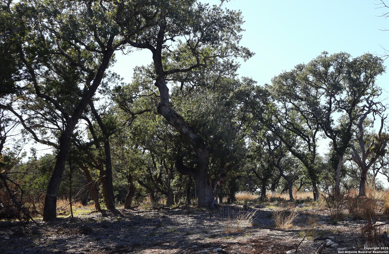 Lot 5 Sophie Drive Bandera TX 78003