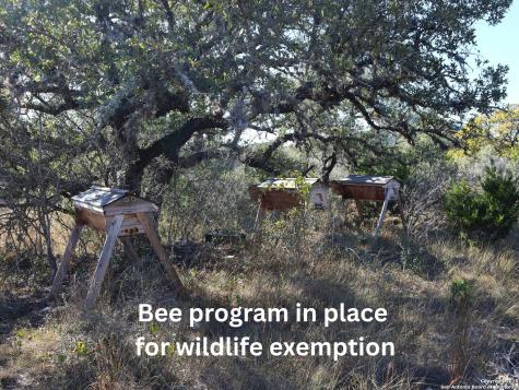 Lot 5 Sophie Drive Bandera TX 78003