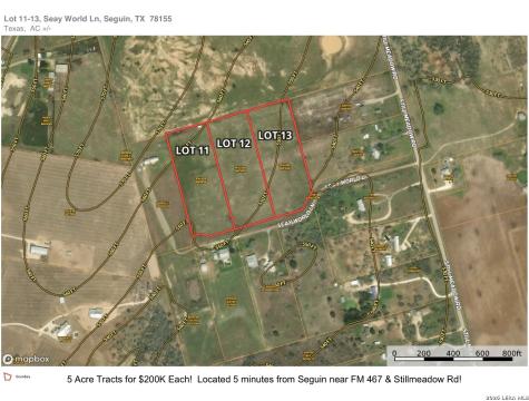 Lot 11 Seay World Seguin TX 78155