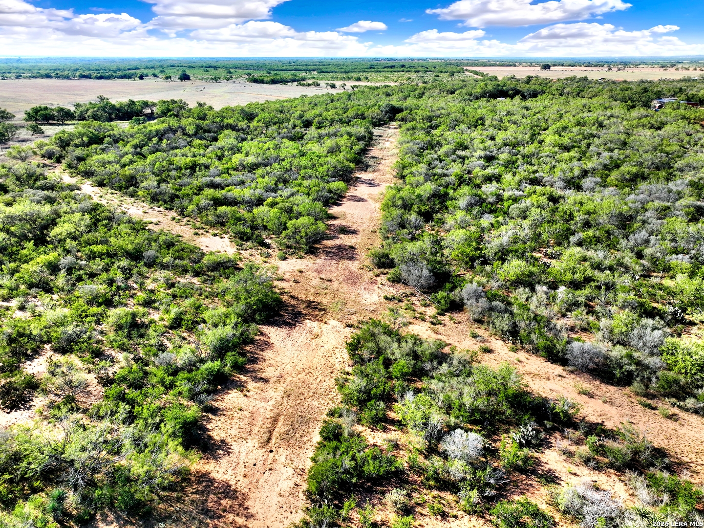 Tract 1 Cr 2530 Moore TX 78057