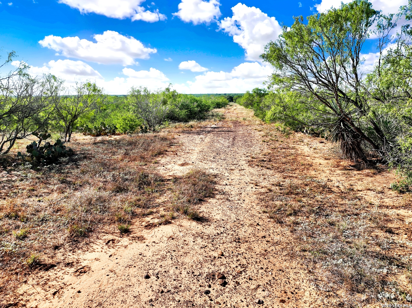 Tract 1 Cr 2530 Moore TX 78057