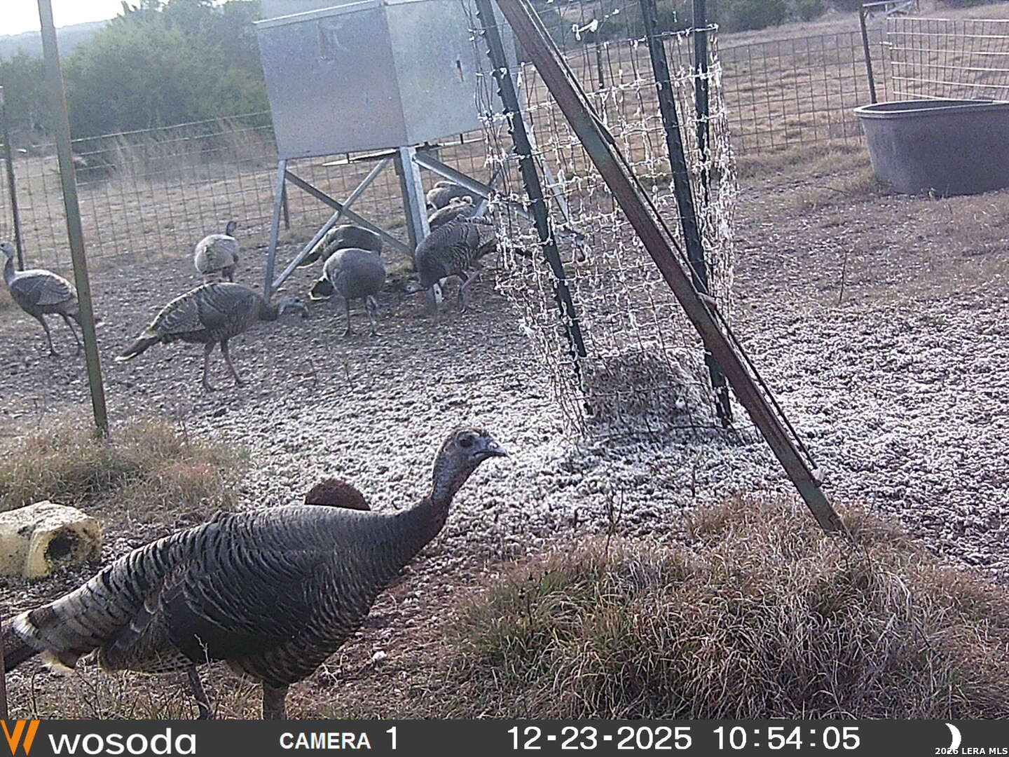 884 Sd 16010 Rocksprings TX 78880