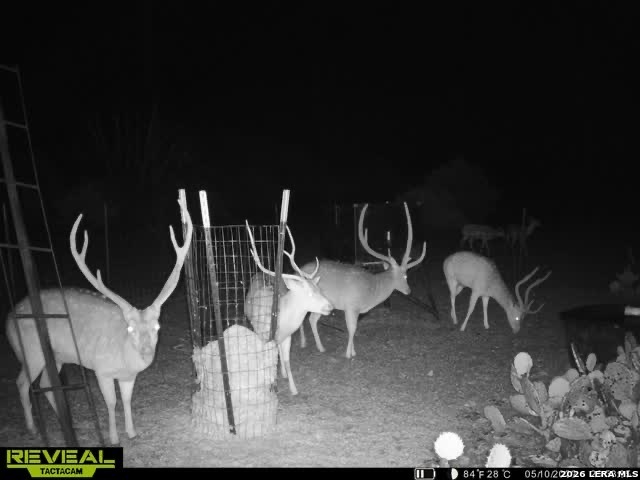 884 Sd 16010 Rocksprings TX 78880
