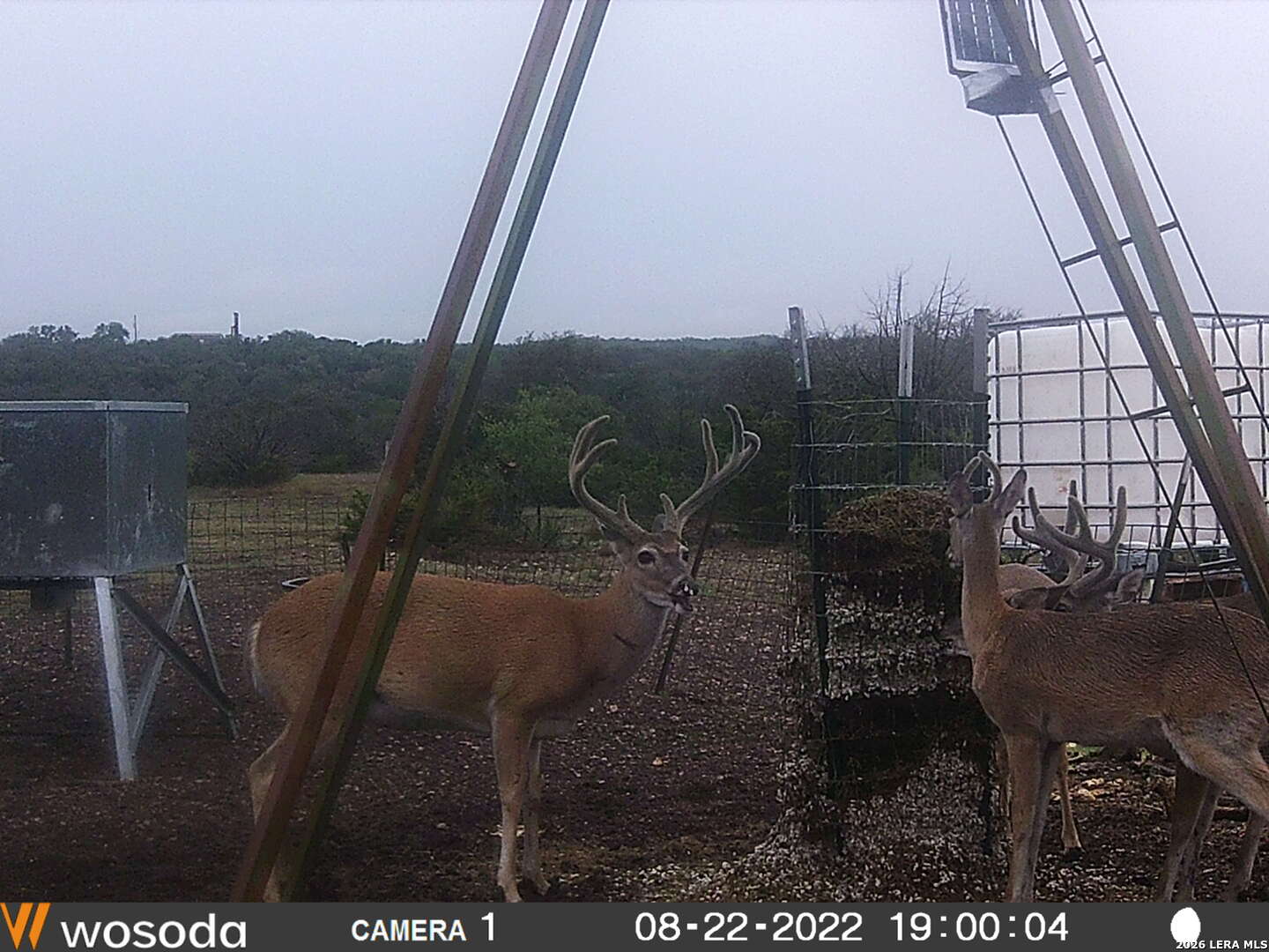 884 Sd 16010 Rocksprings TX 78880