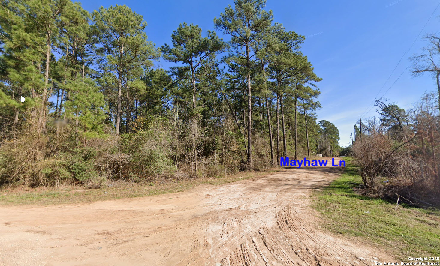 Lot 16 Mayhaw Lane Plantersville TX 77363