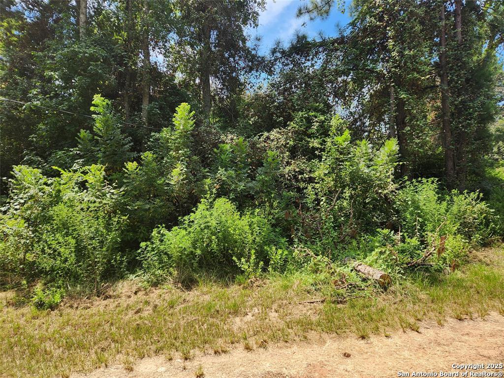 Lot 16 Mayhaw Lane Plantersville TX 77363