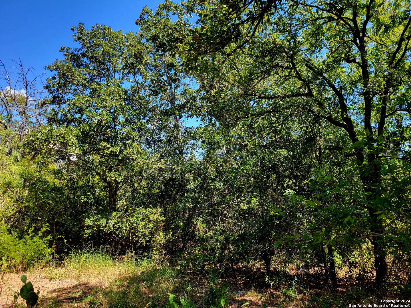 Tbd Dale Lane Dale TX 78616