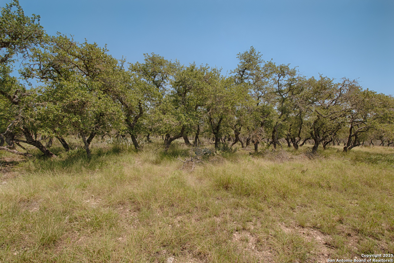 379 Bent Tree Harper TX 78631
