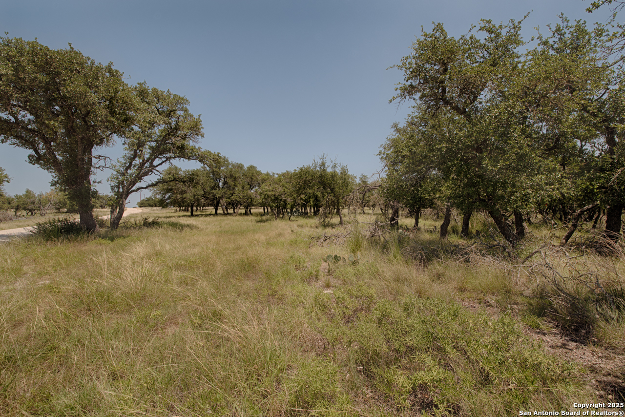 379 Bent Tree Harper TX 78631