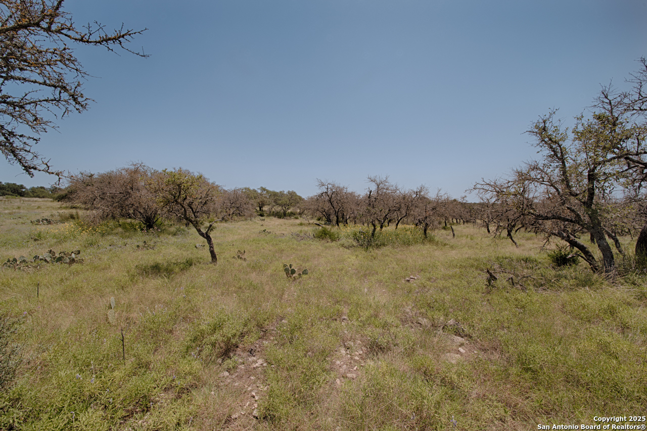 379 Bent Tree Harper TX 78631