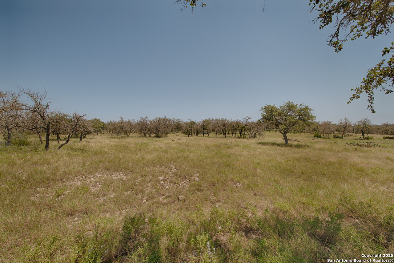 379 Bent Tree Harper TX 78631
