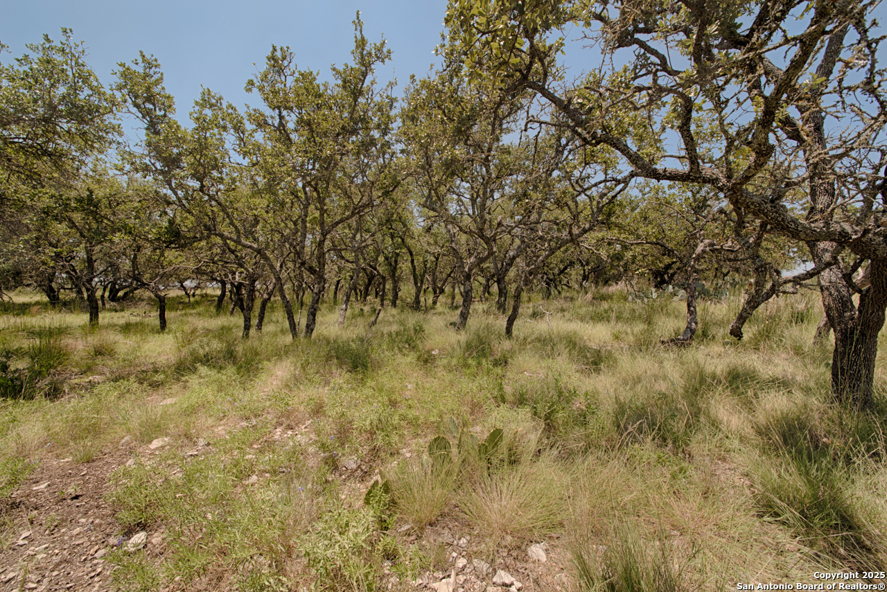 379 Bent Tree Harper TX 78631