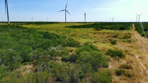 Tract 6 (80AC) San Pablo Drive Bruni TX 78344
