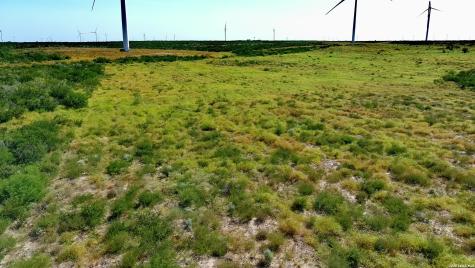 Tract 6 (80AC) San Pablo Drive Bruni TX 78344