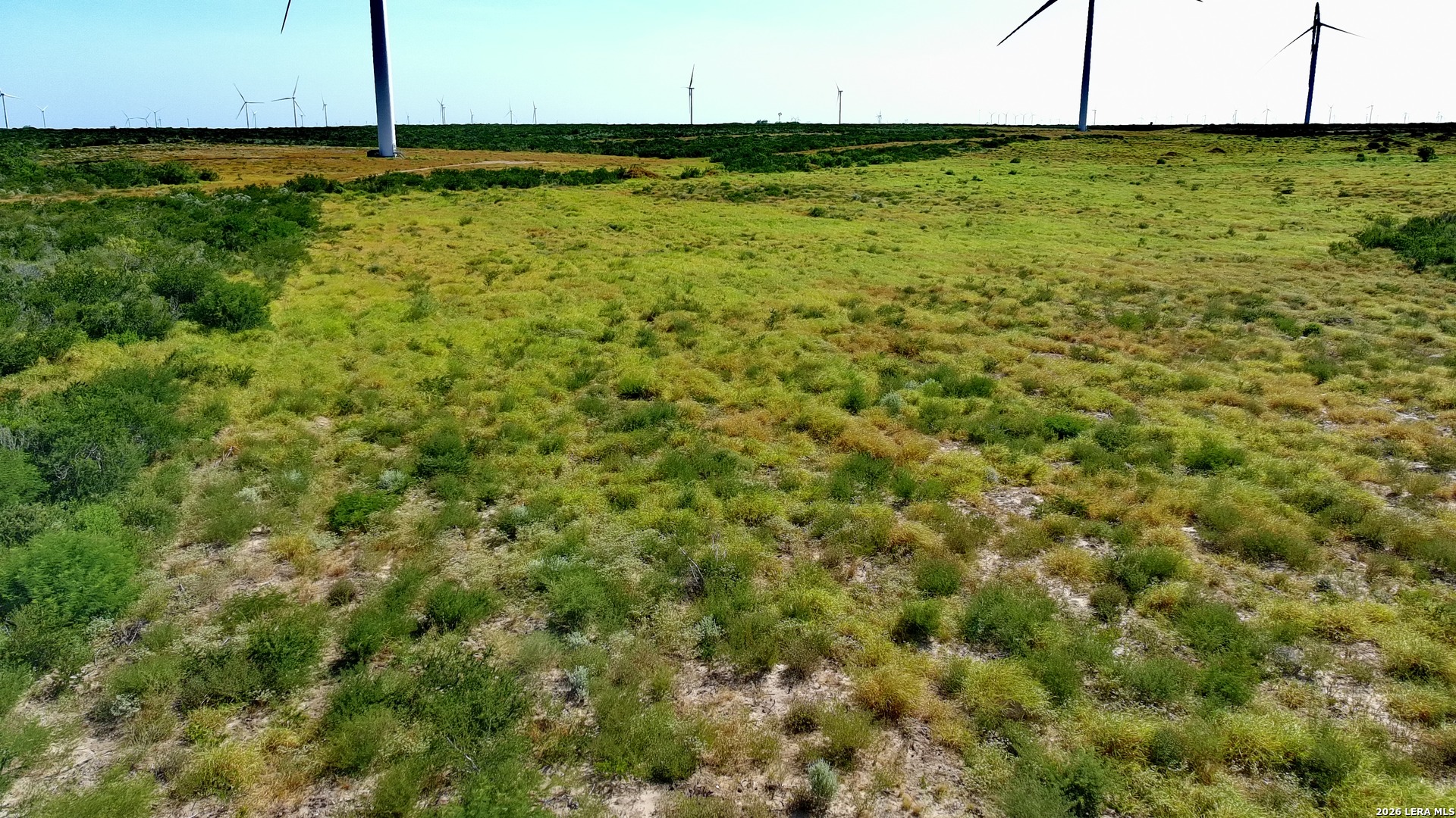 Tract 6 (80AC) San Pablo Drive Bruni TX 78344