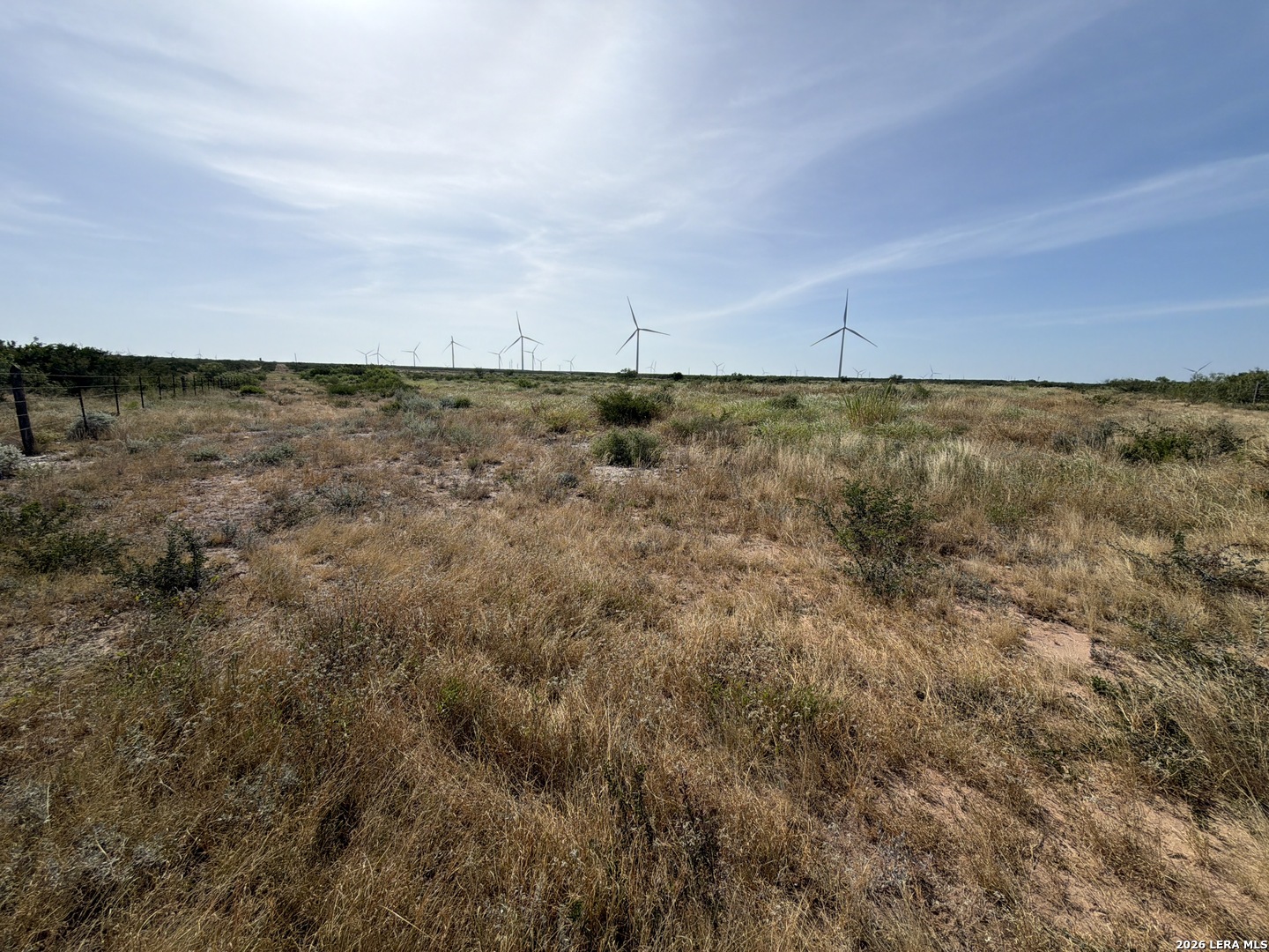 Tract 6 (80AC) San Pablo Drive Bruni TX 78344