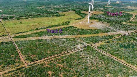 Tract 6 (80AC) San Pablo Drive Bruni TX 78344