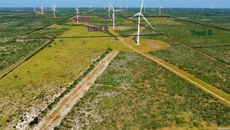 Tract 6 (80AC) San Pablo Drive Bruni TX 78344