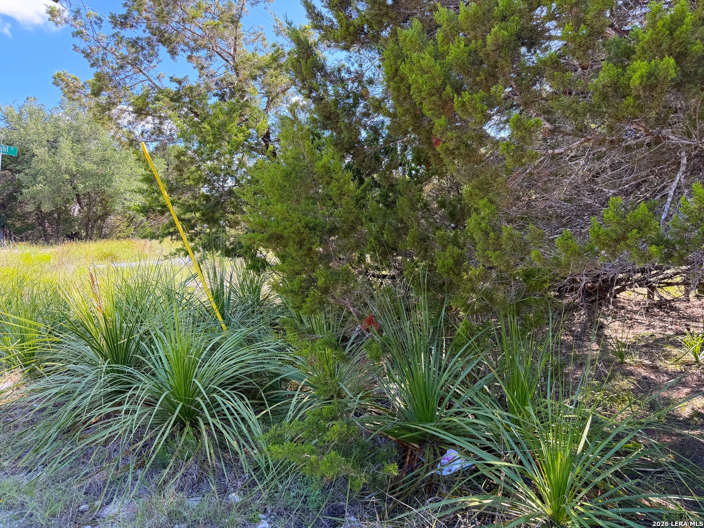 2021 Ronda Court Canyon Lake TX 78133