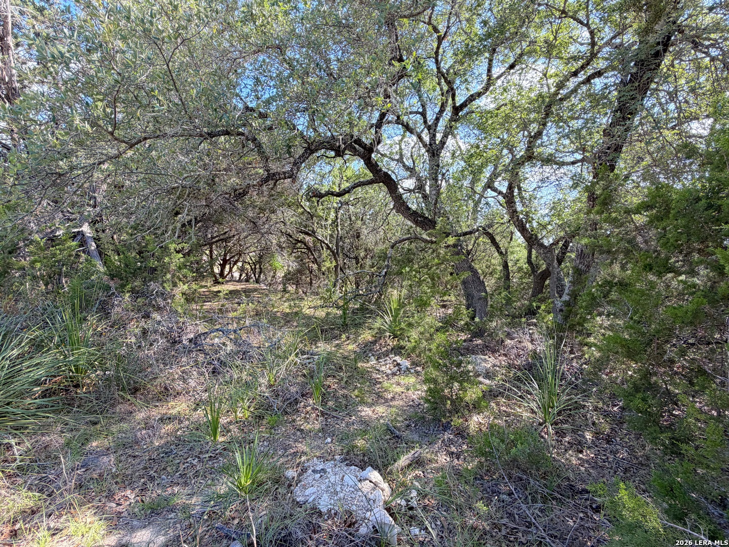 2021 Ronda Court Canyon Lake TX 78133