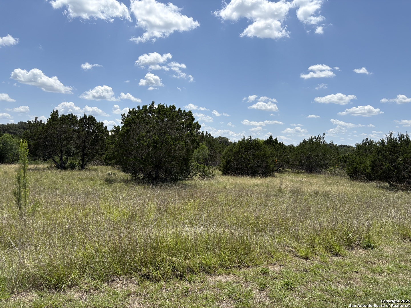 Lot 43 Saddle Tree Bandera TX 78003