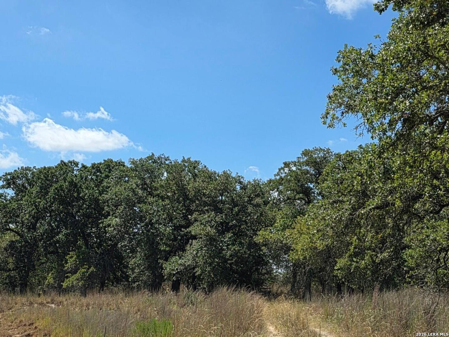 2404 County Road 320 Floresville TX 78114