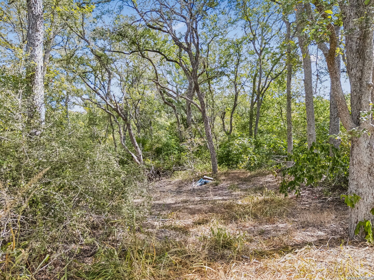 4476 Us Hwy 87 W Stockdale TX 78160