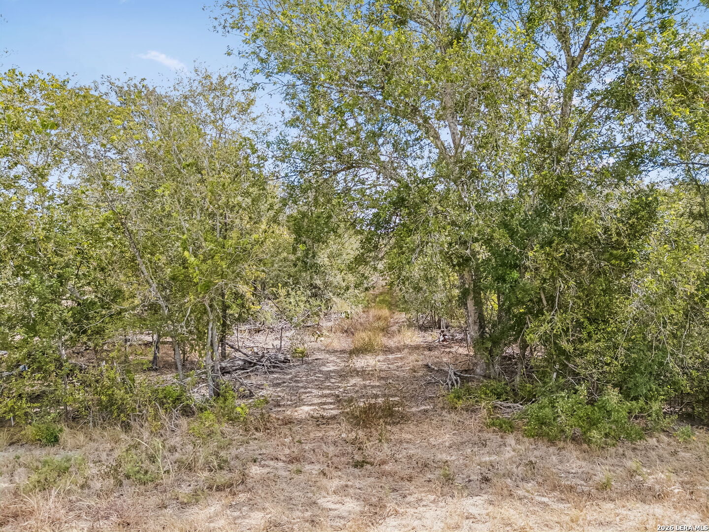 4476 Us Hwy 87 W Stockdale TX 78160