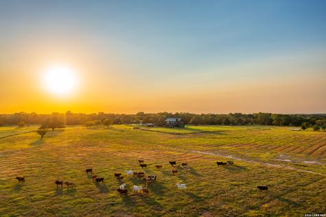 1071 Private Road 1090 Hallettsville TX 77964