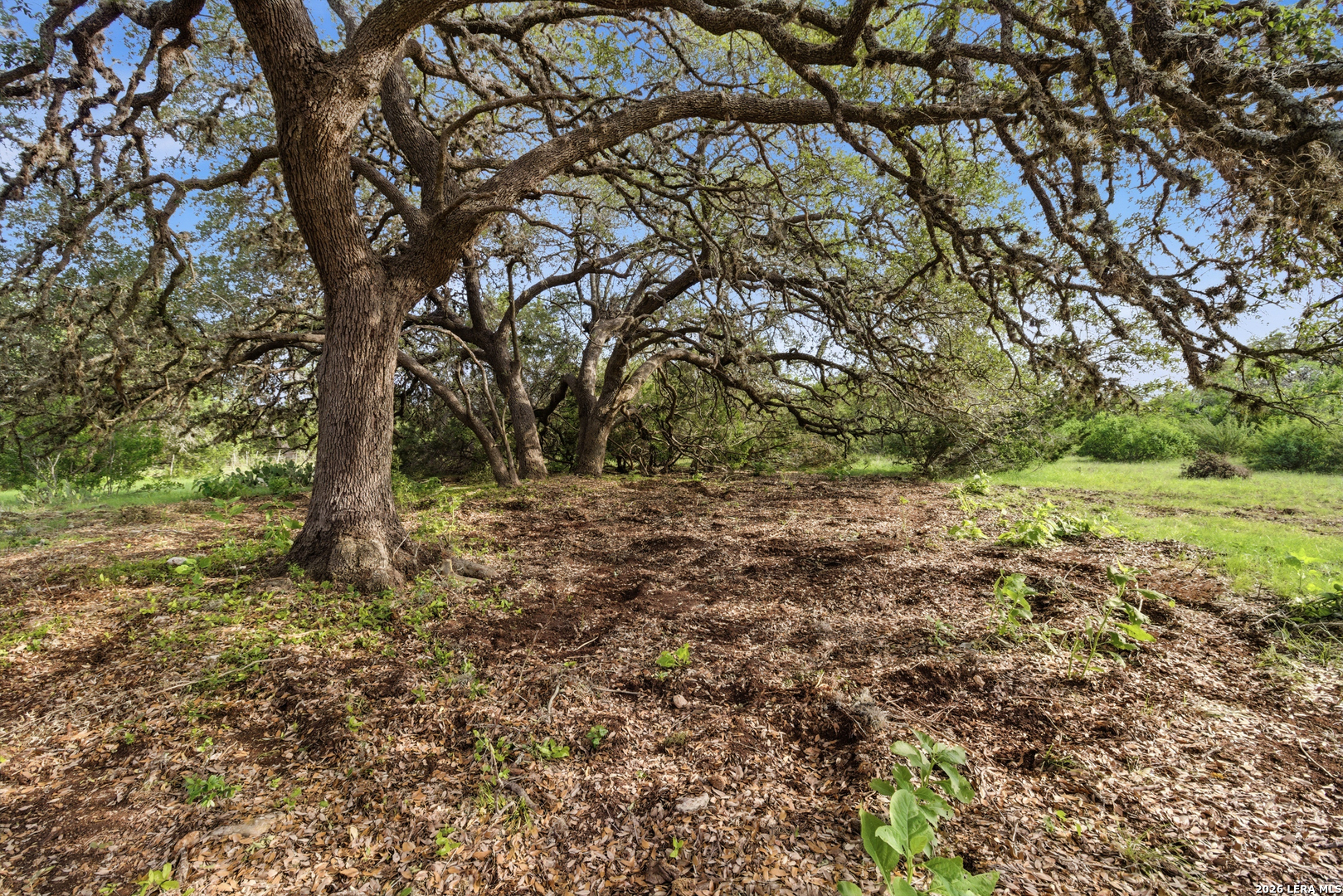 29.618 Acres Ratcliffe Ranch Bandera TX 78003